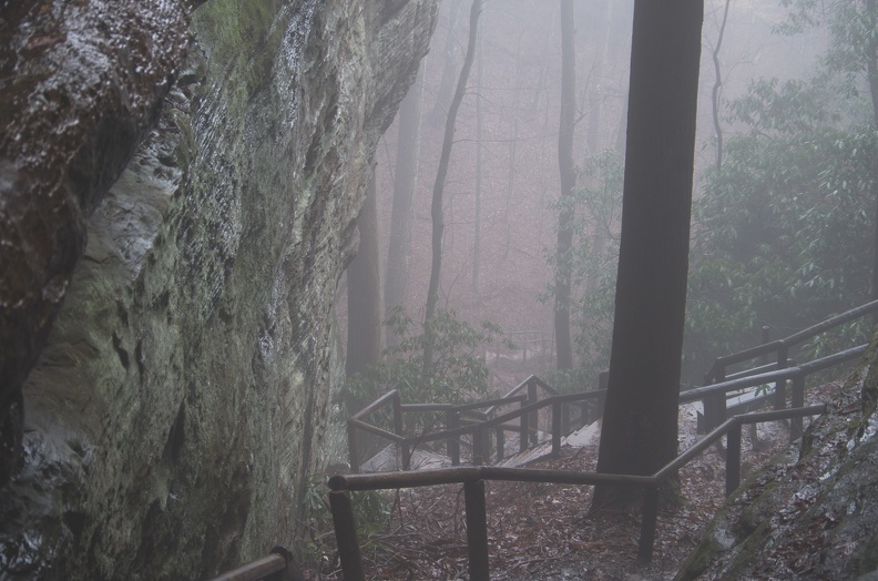 Fog and rain13.jpg